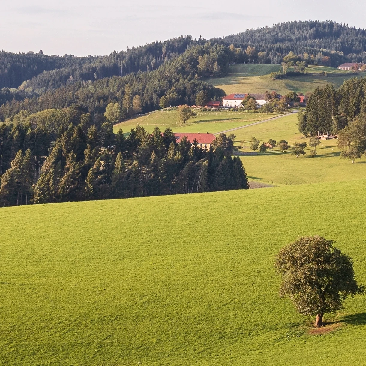 Bild einer schönen Landschaft